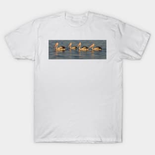 Pelicans at Sunset T-Shirt